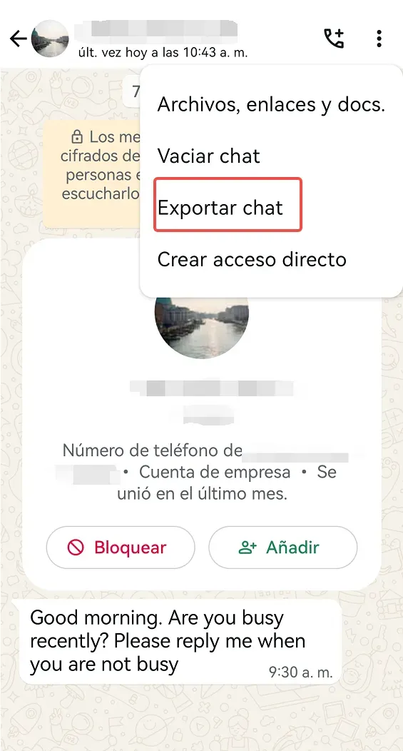 Exportar chat